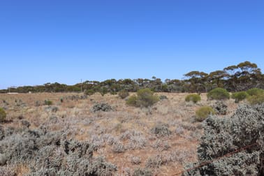 Lot 2 Hunt Road Barmera SA 5345 - Image 2