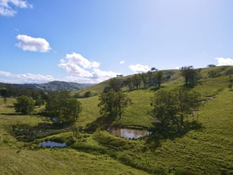 101/438 Bingleburra Road Dungog NSW 2420 - Image 3