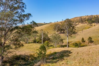 101/438 Bingleburra Road Dungog NSW 2420 - Image 1