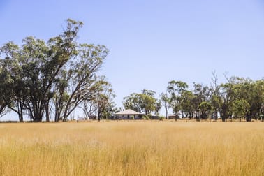 142 Sawpit Creek Road Gunnedah NSW 2380 - Image 2