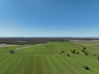 142 Sawpit Creek Road Gunnedah NSW 2380 - Image 1