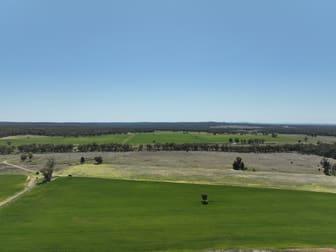 142 Sawpit Creek Road Gunnedah NSW 2380 - Image 3