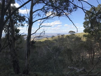 Lot 1 Bugtown Road Adaminaby NSW 2629 - Image 1