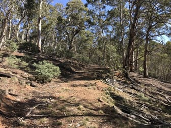 Lot 1 Bugtown Road Adaminaby NSW 2629 - Image 2