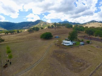 "Orange Grove" 2236 Upper Dartbrook Road Kars Springs (via) Scone NSW 2337 - Image 2