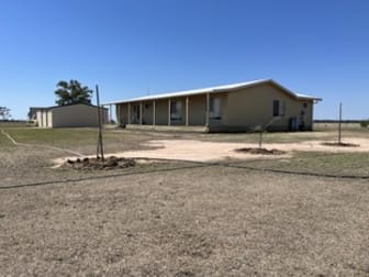 Click to view all images "Cressbrook" 649 Sandy Hook Lane Wee Waa NSW 2388 - Image 3