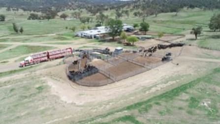 Click to view all images Metz NSW 2350 - Image 3