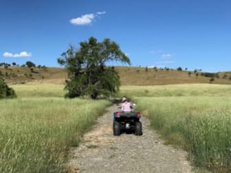 Click to view all images 739 Berribanglo Creek Road Yass River NSW 2582 - Image 2