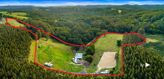 1010 Skenes Creek Road Tanybryn VIC 3249 - Image 1