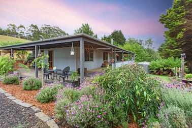 1010 Skenes Creek Road Tanybryn VIC 3249 - Image 3