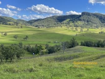 Click to view all images 732 Bucketts Way East Gloucester NSW 2422 - Image 3