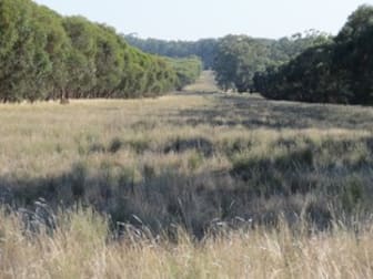 Click to view all images 430 Lees lane Alleena NSW 2671 - Image 2