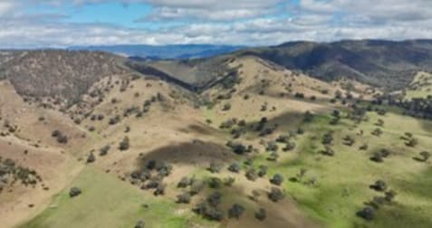 Click to view all images 469 Bald Hills Creek Road Swifts Creek VIC 3896 - Image 2