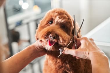 Animal Related  business for sale in Wyndham Vale - Image 1