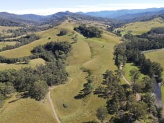 Lot 86 Allyn River Road East Gresford NSW 2311 - Image 3