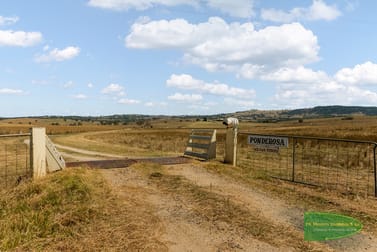 251 Duramana Road Eglinton NSW 2795 - Image 2