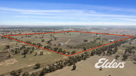 Savernake Road Mulwala NSW 2647 - Image 1