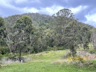 Click to view all images Lots 131 & 117 Bowman River Road, Bowman via Gloucester NSW 2422 - Image 2