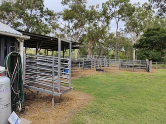 Butcher  business for sale in Monto - Image 3
