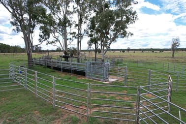 820 ACRES CATTLE GRAZING Jandowae QLD 4410 - Image 2