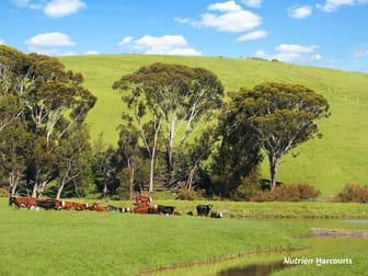 0 Corner Glenelg Highway - Den Hills Road Coleraine VIC 3315 - Image 1