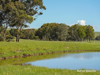 0 Corner Glenelg Highway - Den Hills Road Coleraine VIC 3315 - Image 2