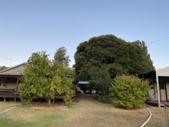 469 Glauders Road (Collins) Pemberton WA 6260 - Image 2