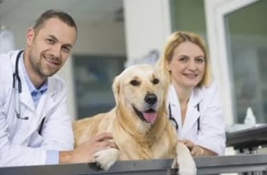 Medical  business for sale in Cairns - Image 2
