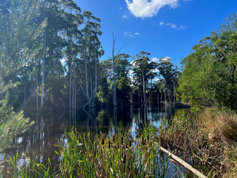 Click to view all images 480 Upper Scotchtown Road Scotchtown TAS 7330 - Image 3