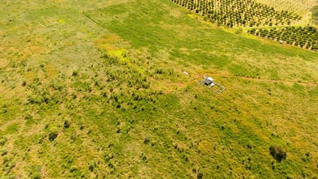 2 Bradshaw Road Owanyilla QLD 4650 - Image 3