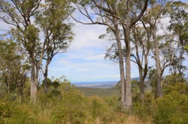 250 Thunderbolts Cave Road Black Mountain NSW 2365 - Image 1