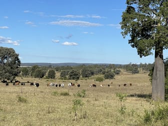 Nogo River Road Eidsvold QLD 4627 - Image 1