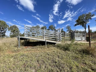 Nogo River Road Eidsvold QLD 4627 - Image 3