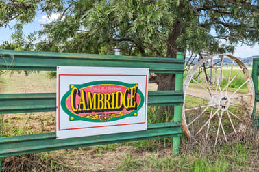 "Cambridge" 1034 Piallaway Road Currabubula NSW 2342 - Image 2