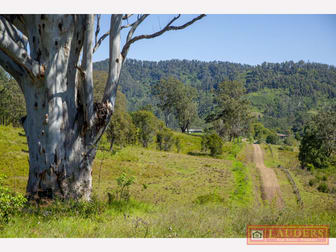 'Tobermory'  1381 Mooral Creek Road Mooral Creek NSW 2429 - Image 2