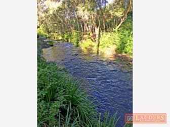 'Tobermory'  1381 Mooral Creek Road Mooral Creek NSW 2429 - Image 3