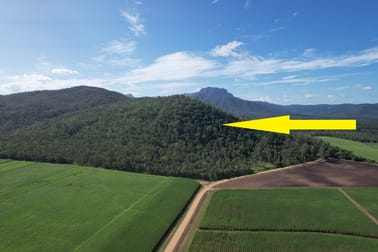Lot 6 Broadwater Park Road Dalrymple Creek QLD 4850 - Image 1