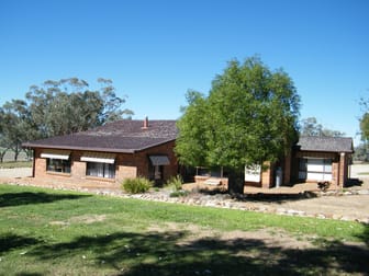 "Gwyooli" 706 Borah Creek Rd Quirindi NSW 2343 - Image 2