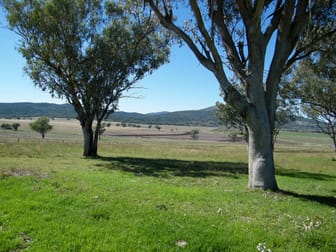 "Gwyooli" 706 Borah Creek Rd Quirindi NSW 2343 - Image 3