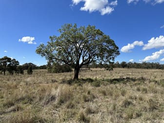 Orana & Kareela Ernie Hodges Road Parkes NSW 2870 - Image 1