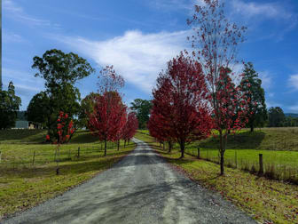 1629 Maroondah Highway Buxton VIC 3711 - Image 3