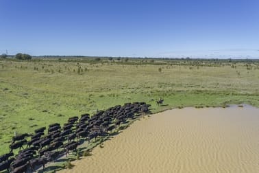 0 Owens Scrub Road Tummaville QLD 4352 - Image 2