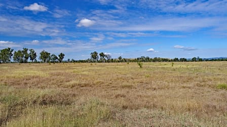 Hillgrove / 12252 Dawson Highway Prospect QLD 4715 - Image 3