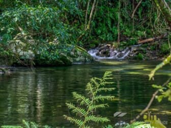 Click to view all images Lots 1 and 5 Barbagallo Road Aloomba QLD 4871 - Image 1