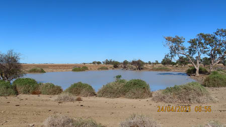 Bundabulla, 5295 Goodooga Road Talawanta NSW 2839 - Image 1