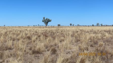 Bundabulla, 5295 Goodooga Road Talawanta NSW 2839 - Image 3