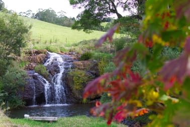746 Whisky Creek Road Dorrigo NSW 2453 - Image 2
