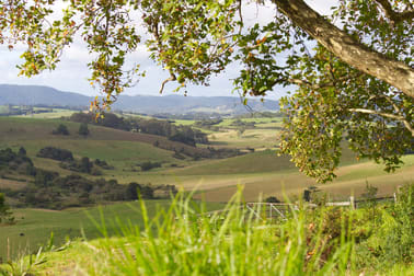 746 Whisky Creek Road Dorrigo NSW 2453 - Image 1