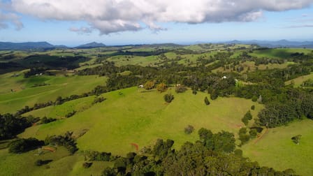 746 Whisky Creek Road Dorrigo NSW 2453 - Image 3