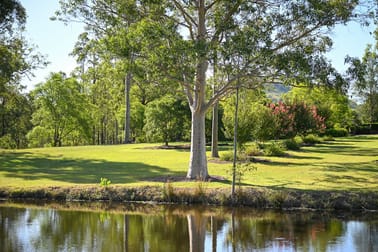 138 Dog Trap Creek Road East Gresford NSW 2311 - Image 1